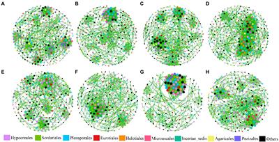 Clomazone impact on fungal network complexity and stability